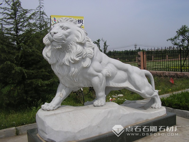 ʯ����ʨ ������