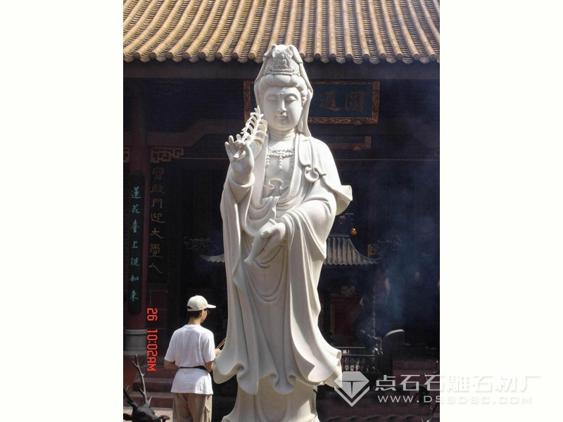 ���� ���������